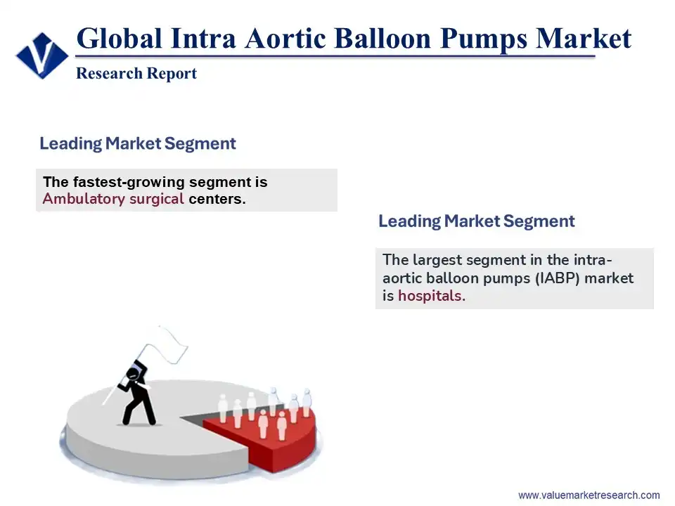 Intra Aortic Balloon Pump Consoles Market Intra Aortic Balloon Pumps Market Share & Growth Report, 2033